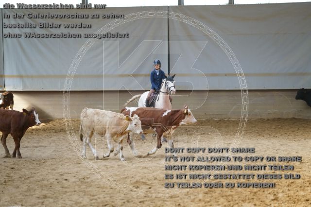 s_K3F02260.JPG